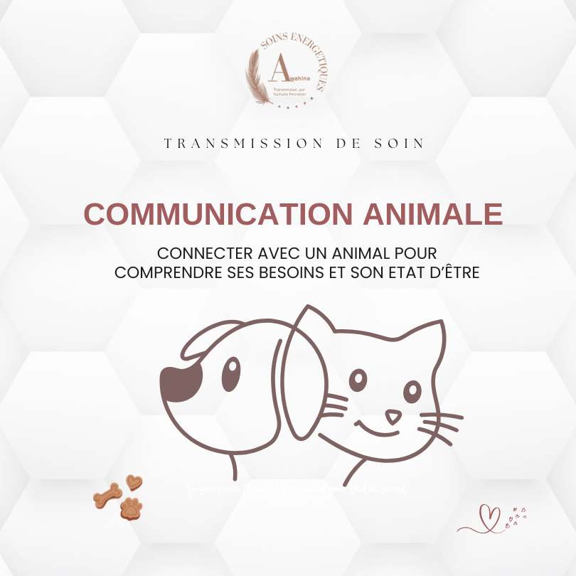 Initiation Communication Animale - Nathalie Pennetier Le Mans