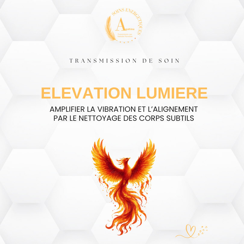Formation soin énergétique ELEVATION LUMIERE Nathalie Pennetier