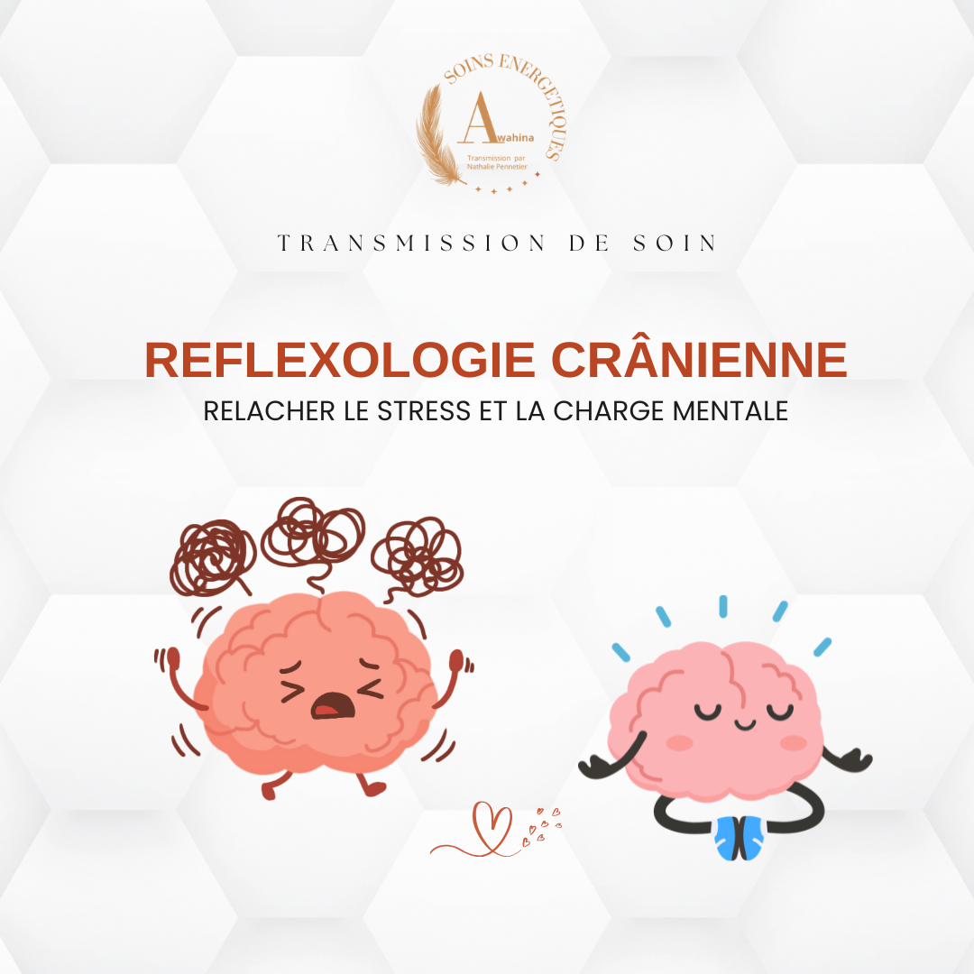 FORMATION REFLEXOLOGIE CRANIENNE