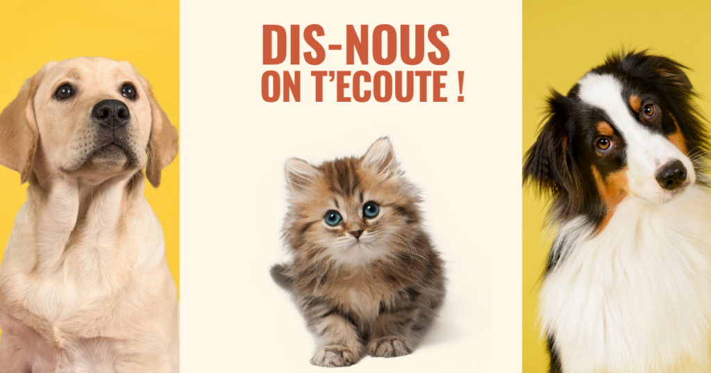 Communication animale chien chat- Nathalie Pennetier énergéticienne